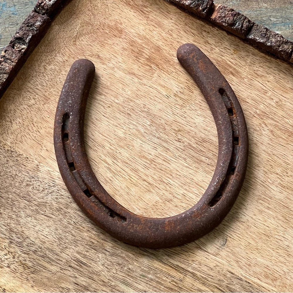 Vtg Rustic Horse Shoe Decor - Picture 8 of 8